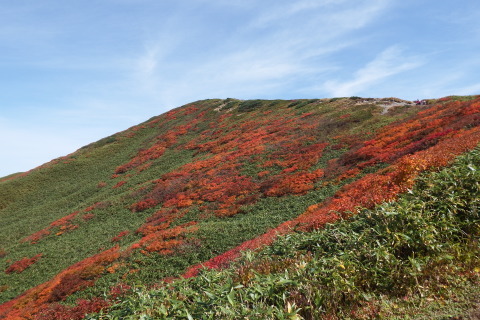 f0118332_22074303.jpg