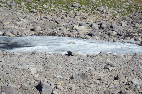 f0118332_22383001.jpg