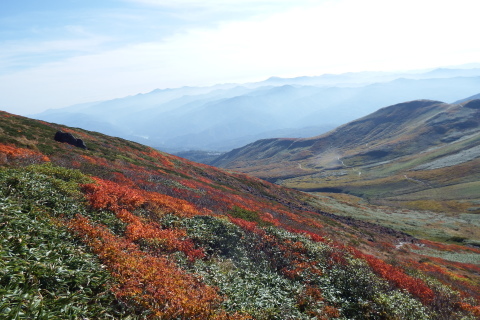 f0118332_22425959.jpg