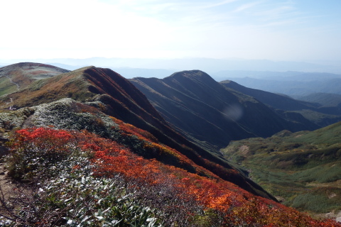 f0118332_22430946.jpg