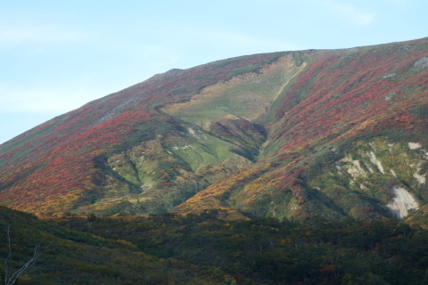 f0118332_22442025.jpg