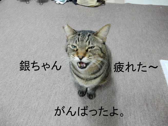 f0247039_13142934.jpg