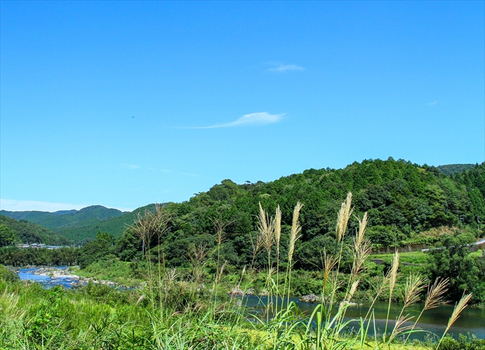b0242140_1710534.jpg
