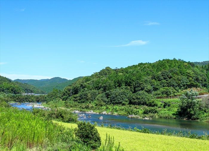 b0242140_1711620.jpg