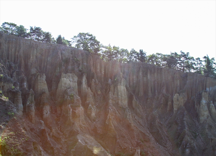 b0242140_1735594.jpg