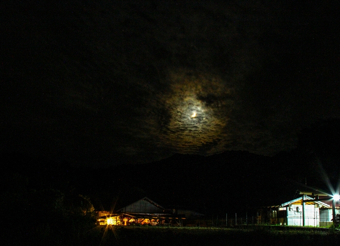 b0242140_17384565.jpg