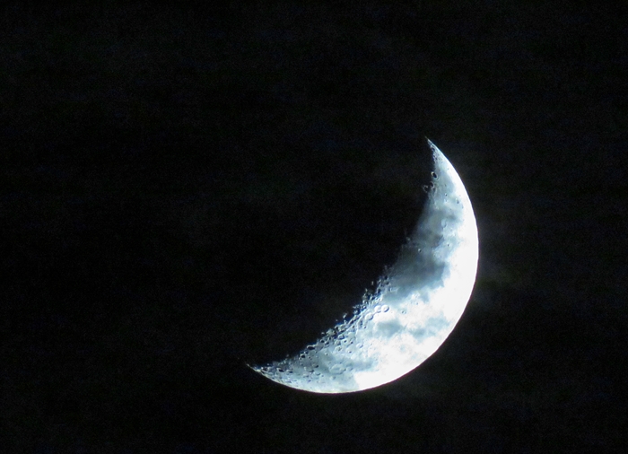 b0242140_17385576.jpg
