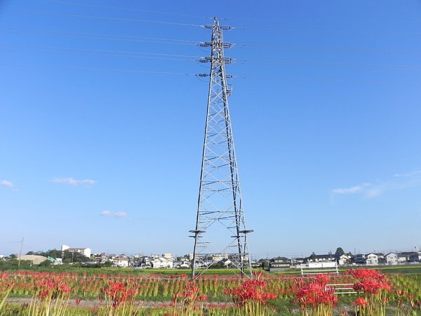 b0341140_19525016.jpg