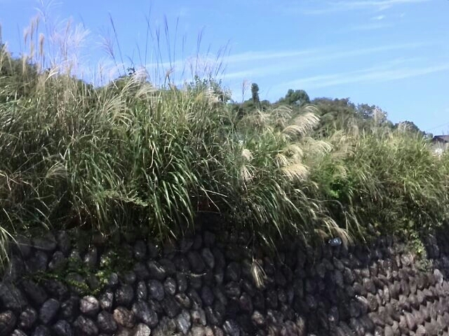 c0194042_11422797.jpg