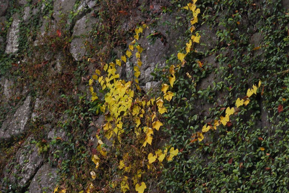 a0116946_2040442.jpg