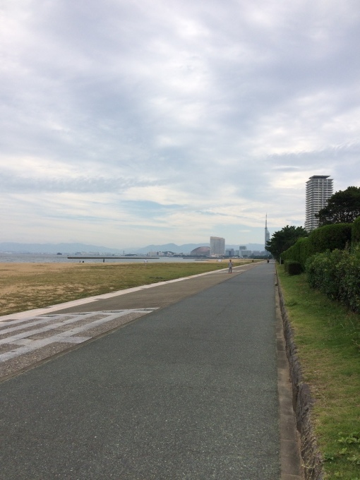 b0226748_17324873.jpeg