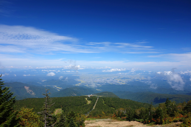 b0325549_22150683.jpg