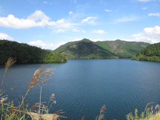 a0052952_18201173.jpg