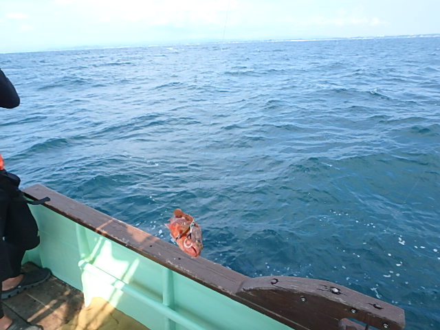 a0248152_17452575.jpg