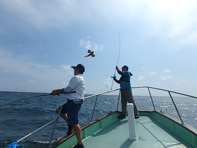 a0248152_17494352.jpg