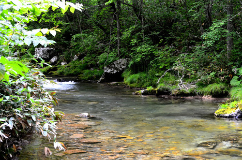 d0283357_21105564.jpg
