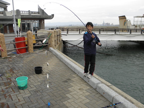 f0201157_10485209.jpg