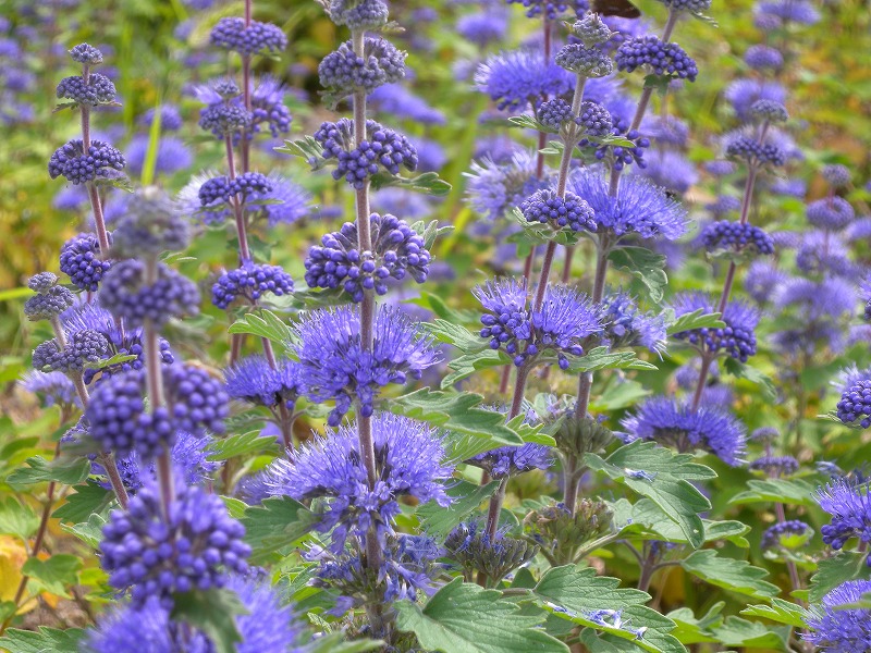 b0104861_19102734.jpg