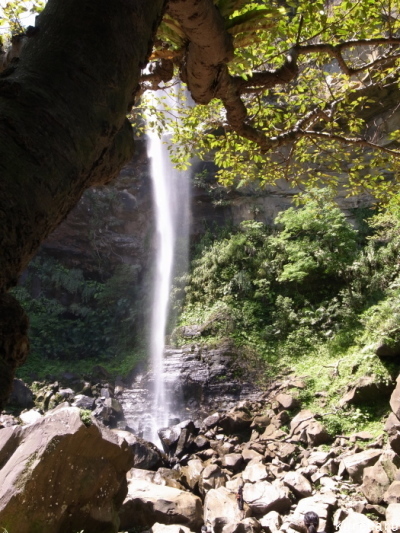 b0336361_09575441.jpg