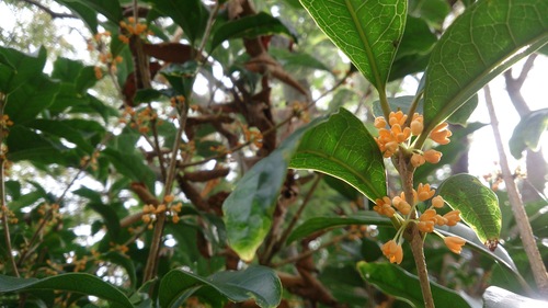 b0226863_20531427.jpg