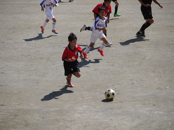 c0185364_6584668.jpg