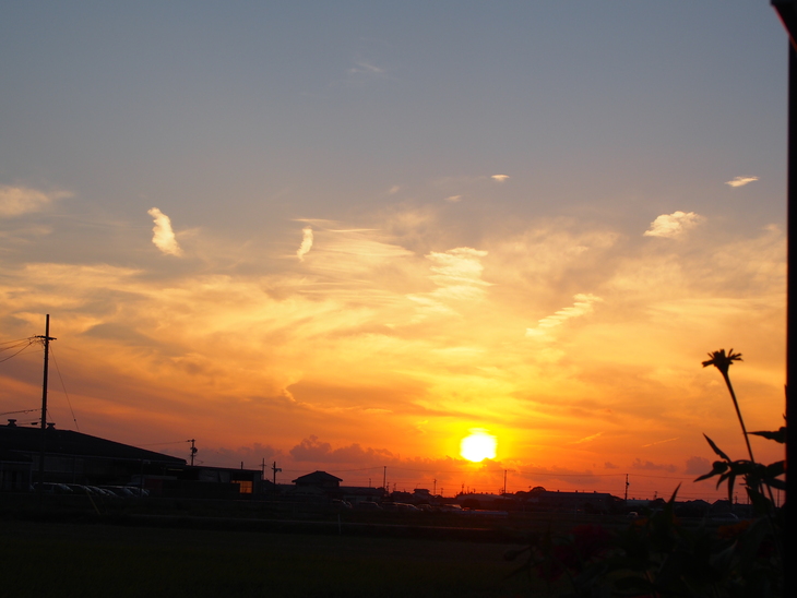 b0194267_19142537.jpg