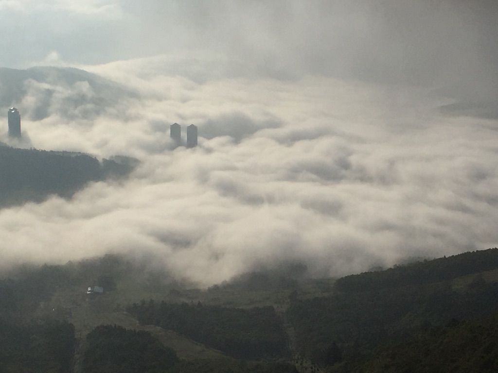 f0175369_8271360.jpg