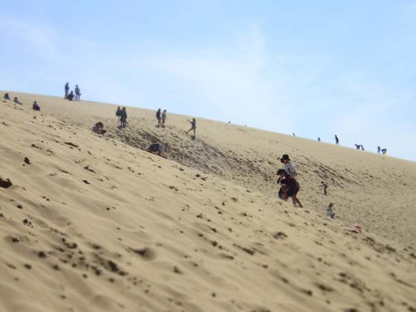 c0122670_23594299.jpg