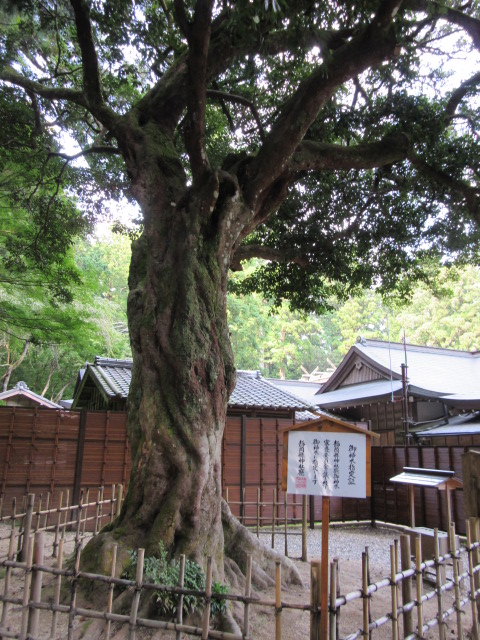 d0109373_036141.jpg