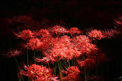c0210275_23424392.jpg