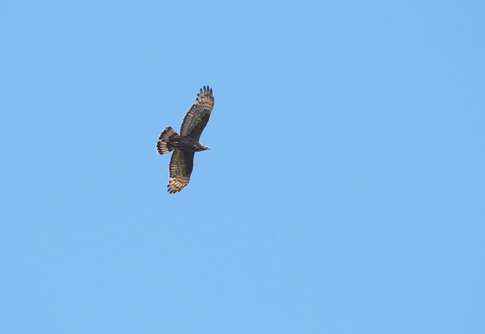 c0096278_9234421.jpg