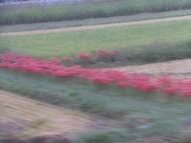d0335878_10523948.jpg