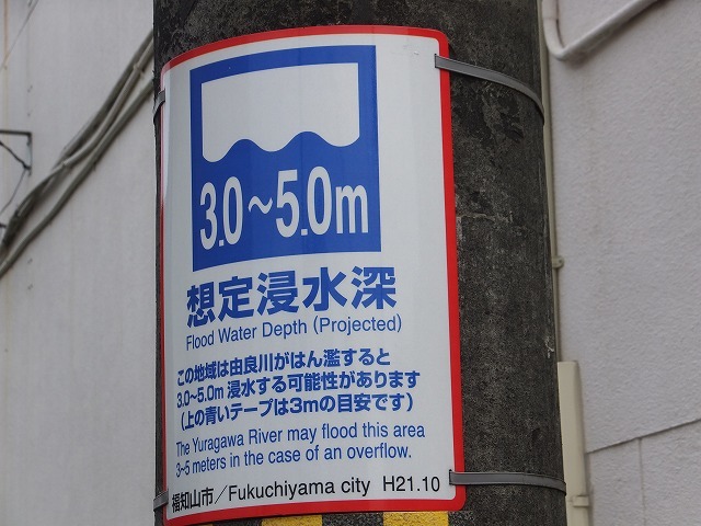 d0335878_11010570.jpg
