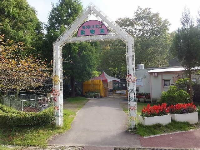 d0335878_11260179.jpg