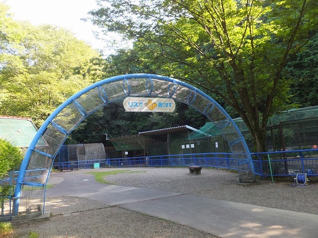 d0335878_11383655.jpg