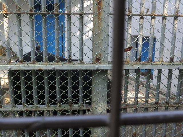 d0335878_11560413.jpg