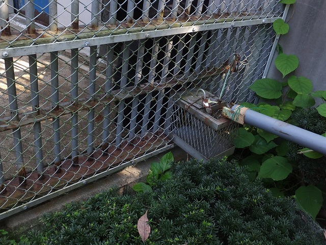 d0335878_11563372.jpg
