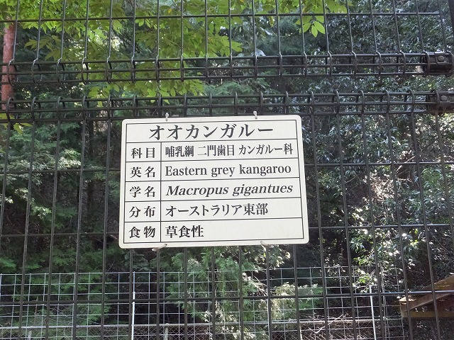 d0335878_12094747.jpg