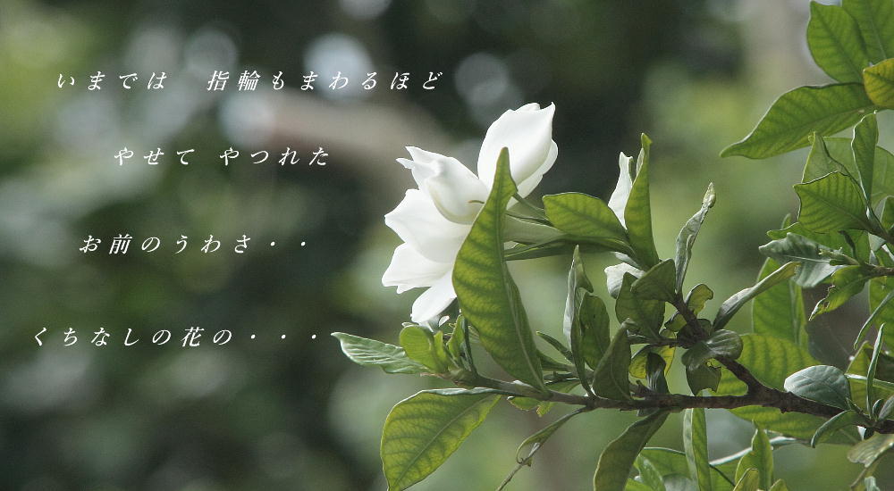 c0357781_14030141.jpg