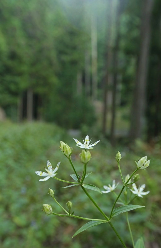 f0000789_955112.jpg