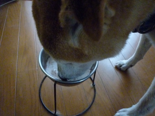 c0123890_1856101.jpg