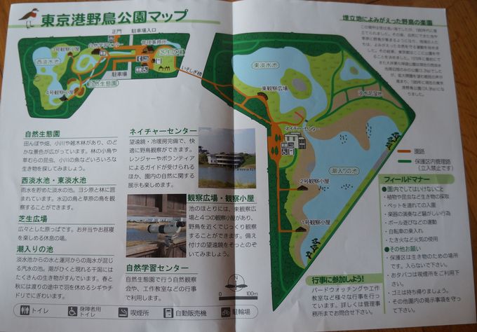 e0241093_810412.jpg