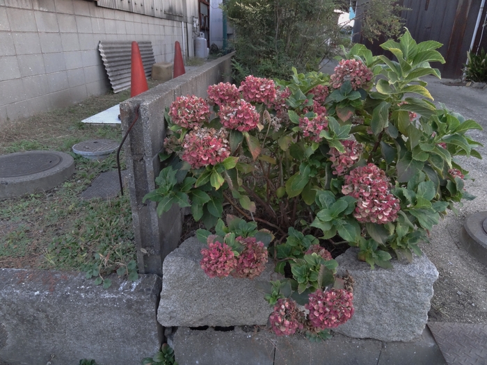 c0247096_22381654.jpg