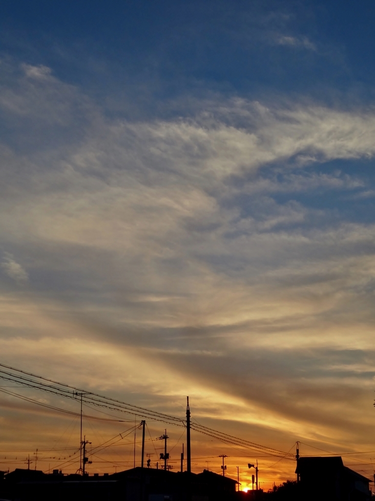 c0247096_224882.jpg
