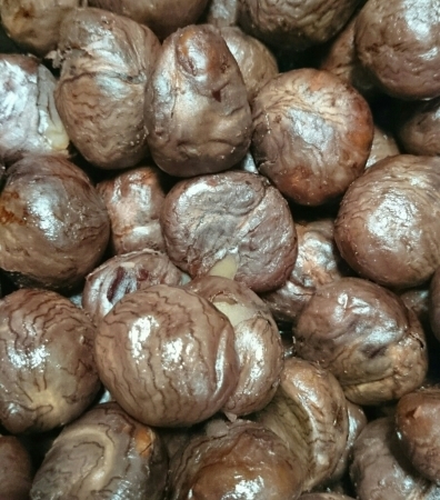 f0033598_08312388.jpg
