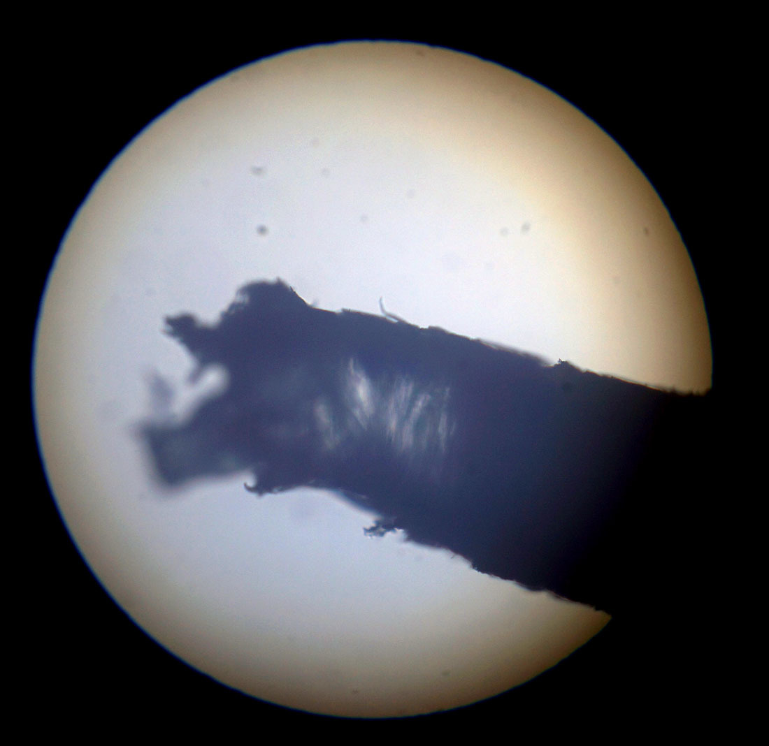 c0095801_22233443.jpg