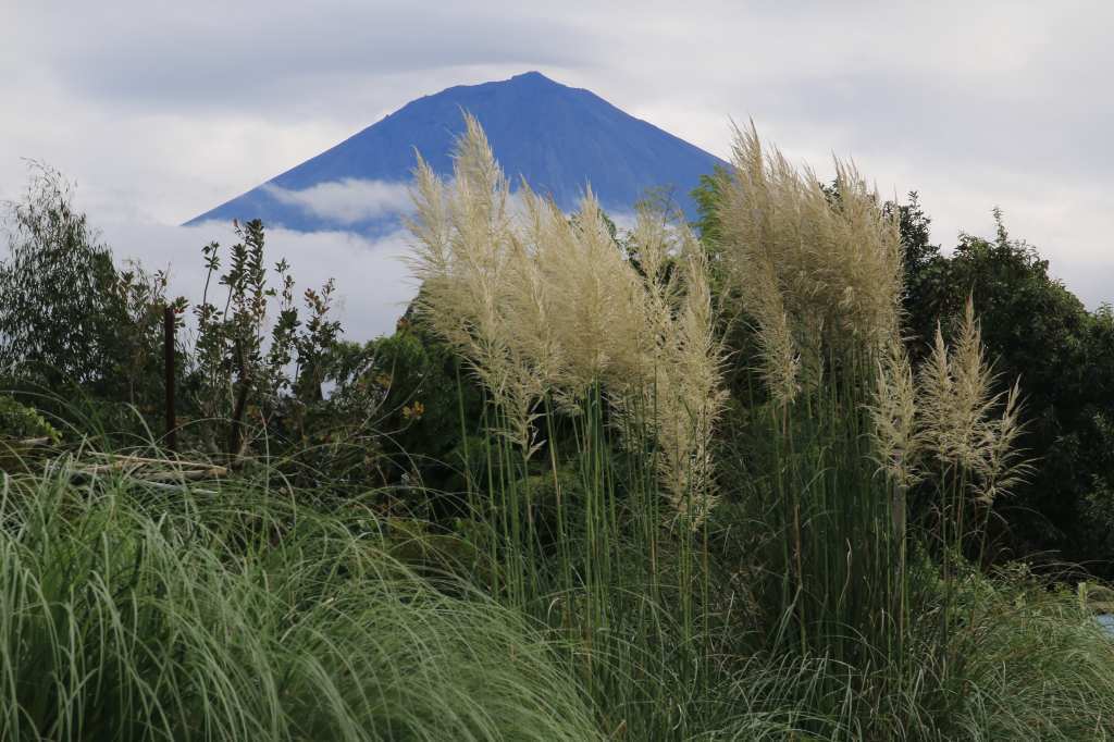 a0188405_03320427.jpg