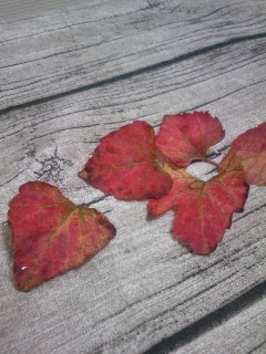 c0097806_18462942.jpg