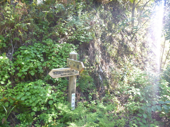 d0170615_1885262.jpg