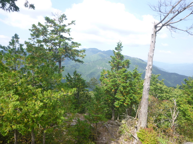 d0170615_1893215.jpg